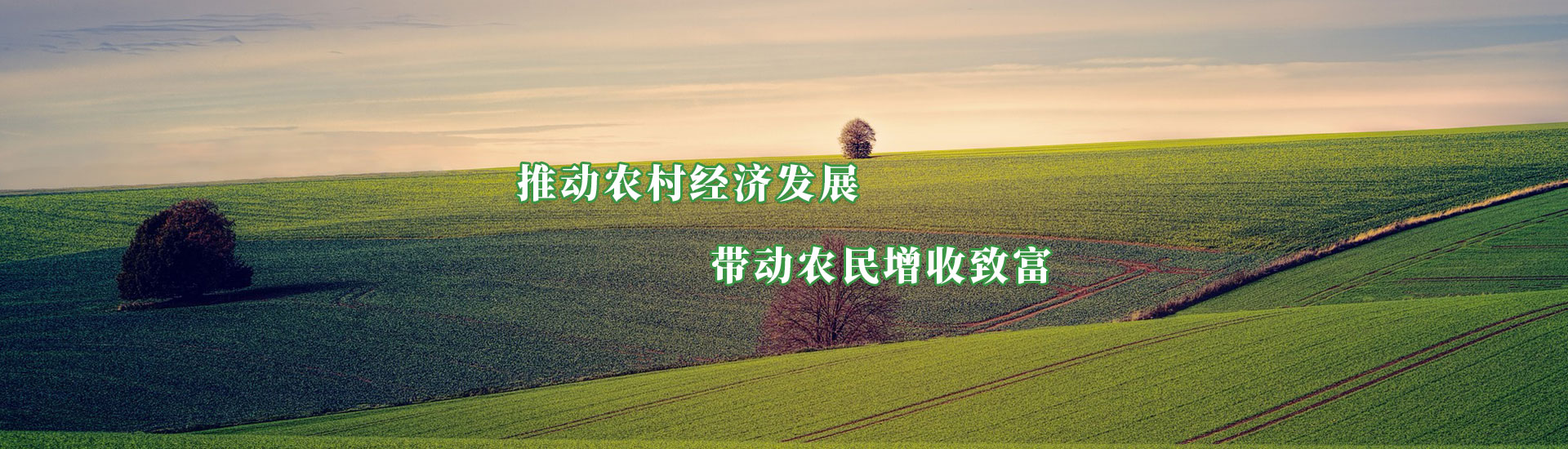 臨夏州凱潤農牧投資發(fā)展集團有限公司